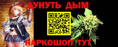 стаф Можга