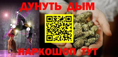 стаф Можга