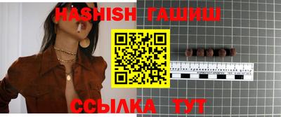стаф Можга