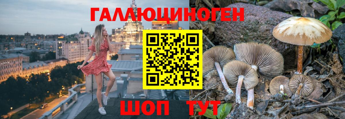 Галлюциногенные грибы Psilocybe Уварово
